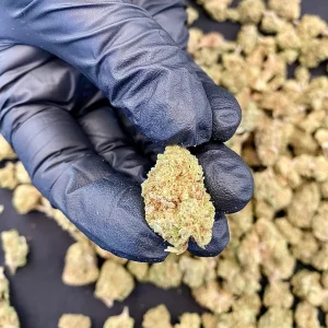 sugar pussy small bud promo cbd