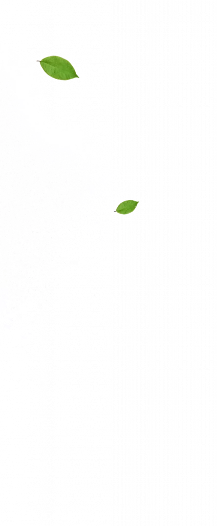 small bud cbd pas cher