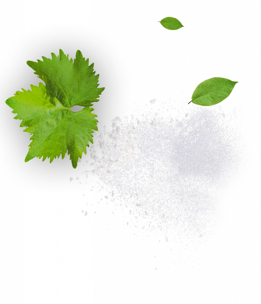 small buds CBD naturelles riches en arômes