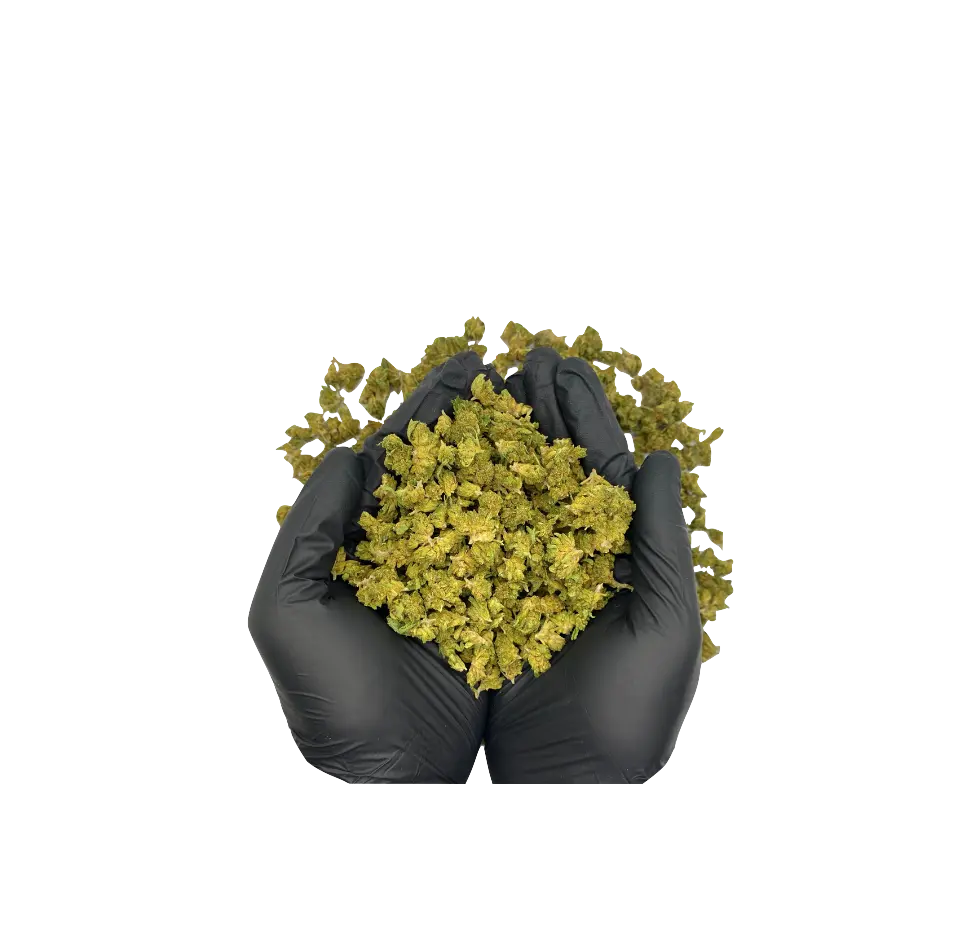 cbd premium discount