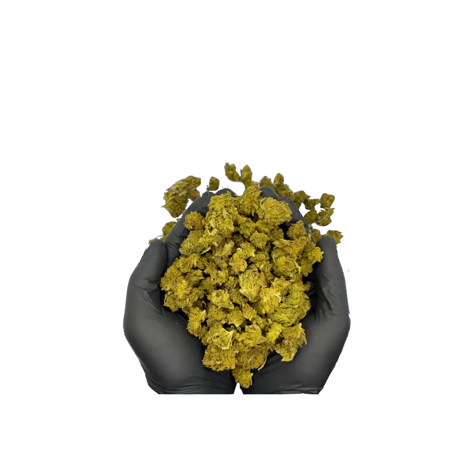 gelato small bud cbd