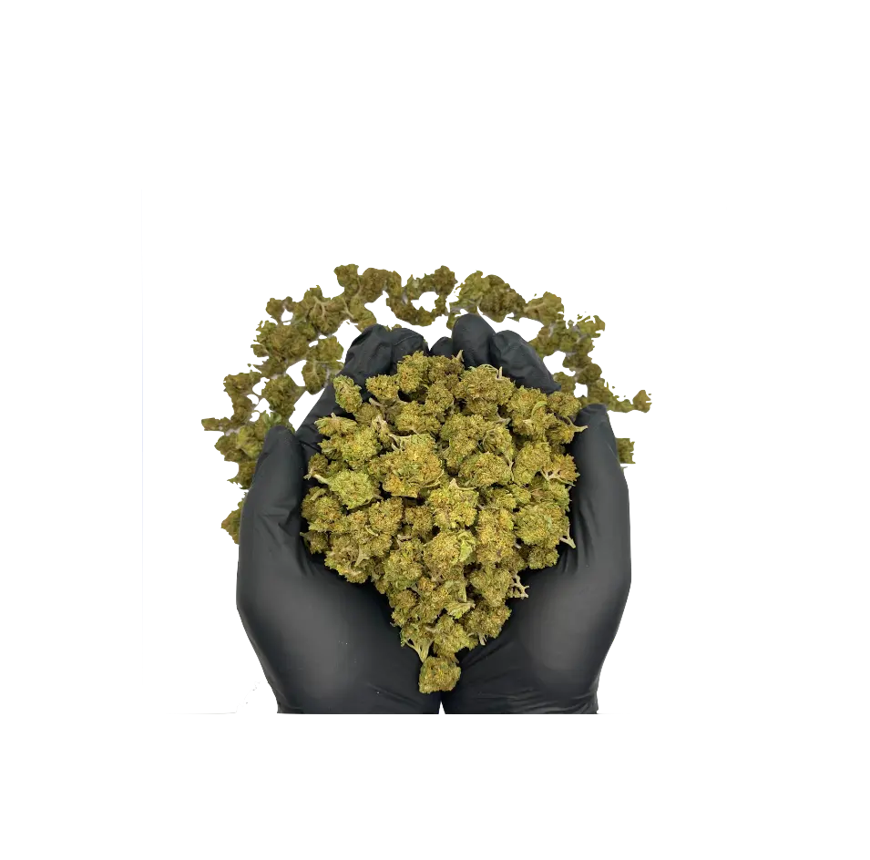 cbd premium discount pas cher